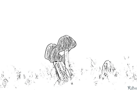 sveppir Prentanlegar Litasíður